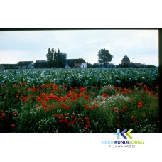 HERWEN Zicht op de Lange Jan- boerderij Goris F00000905